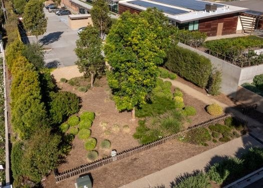 Aerial view of a small vacant lot with trees, shrubs, and mulched ground cover next to a parking area.