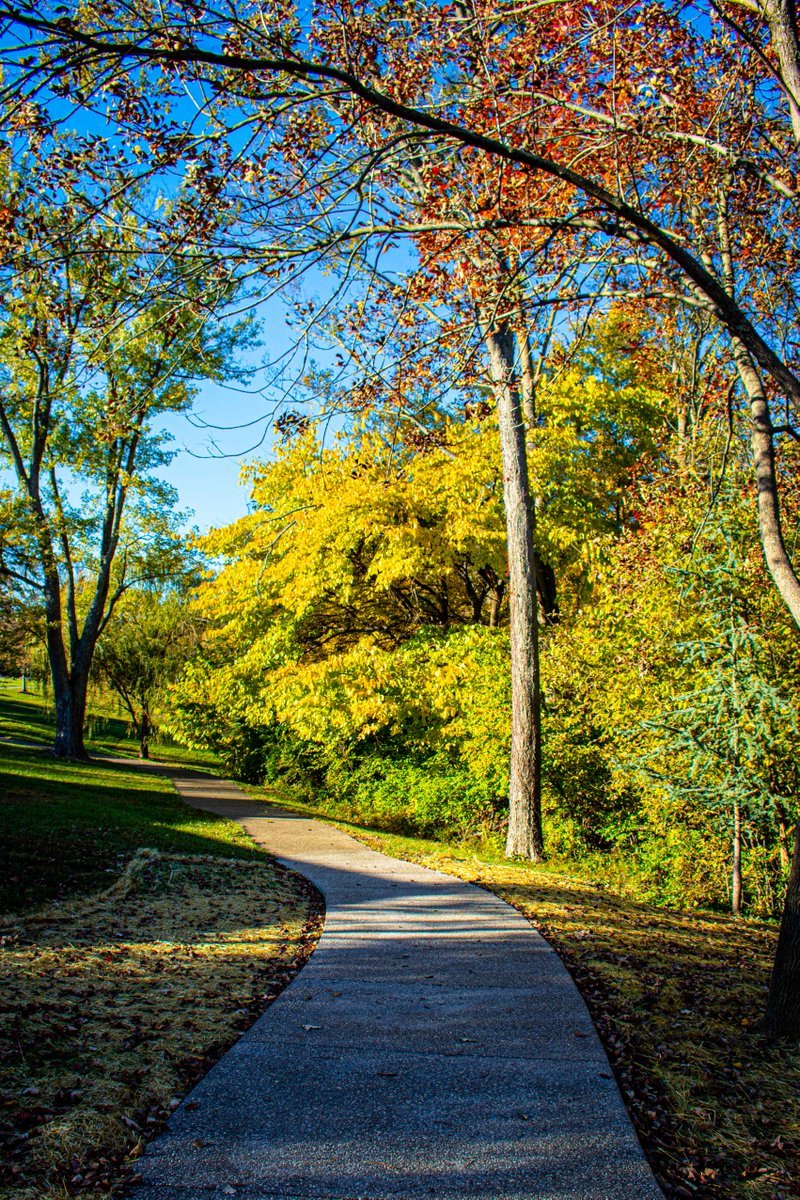 A curved paved walking path winds through a park with autumn-colored trees.