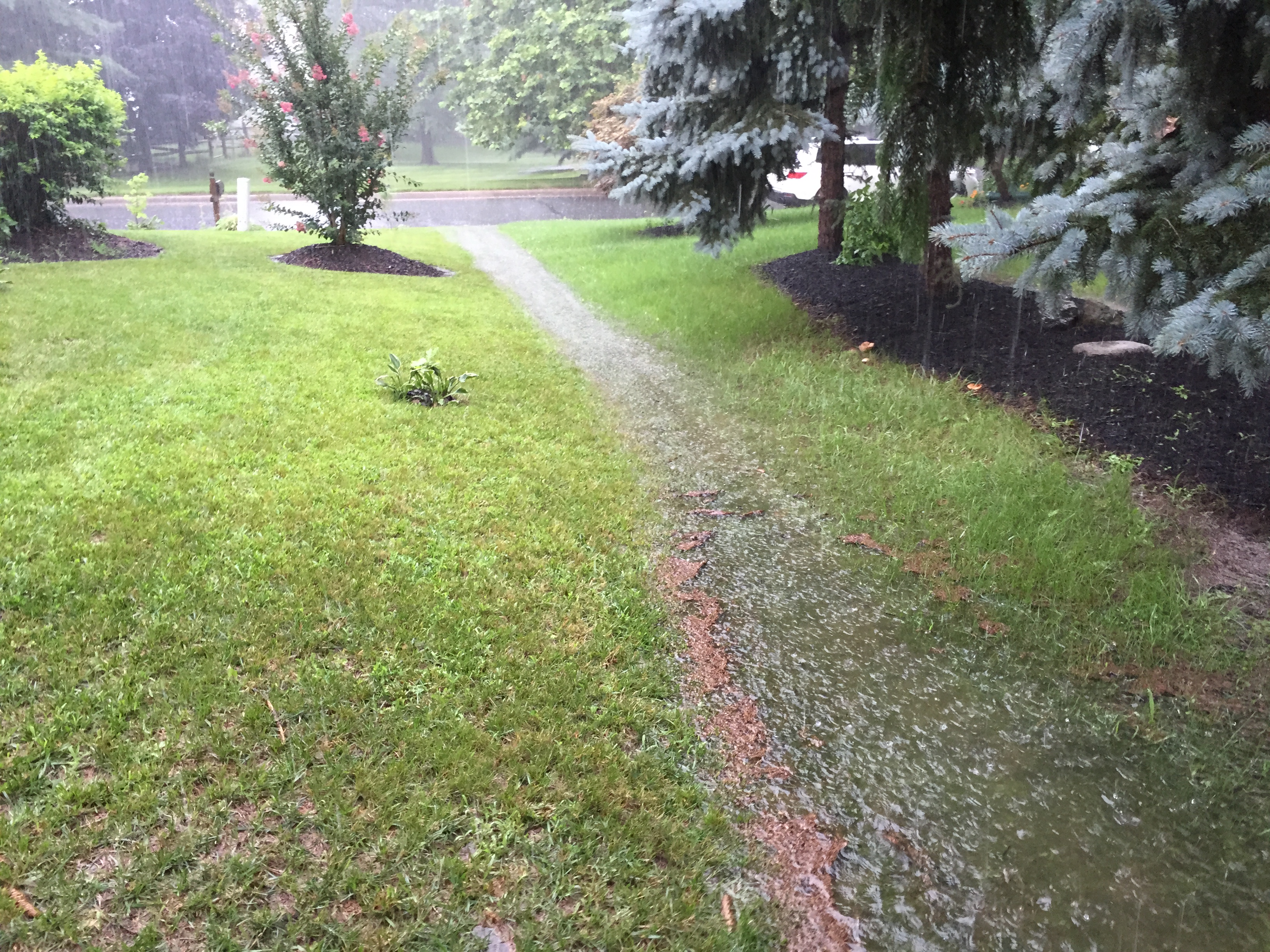 Fast-moving water rushes through a residential gully during a heavy rainstorm.