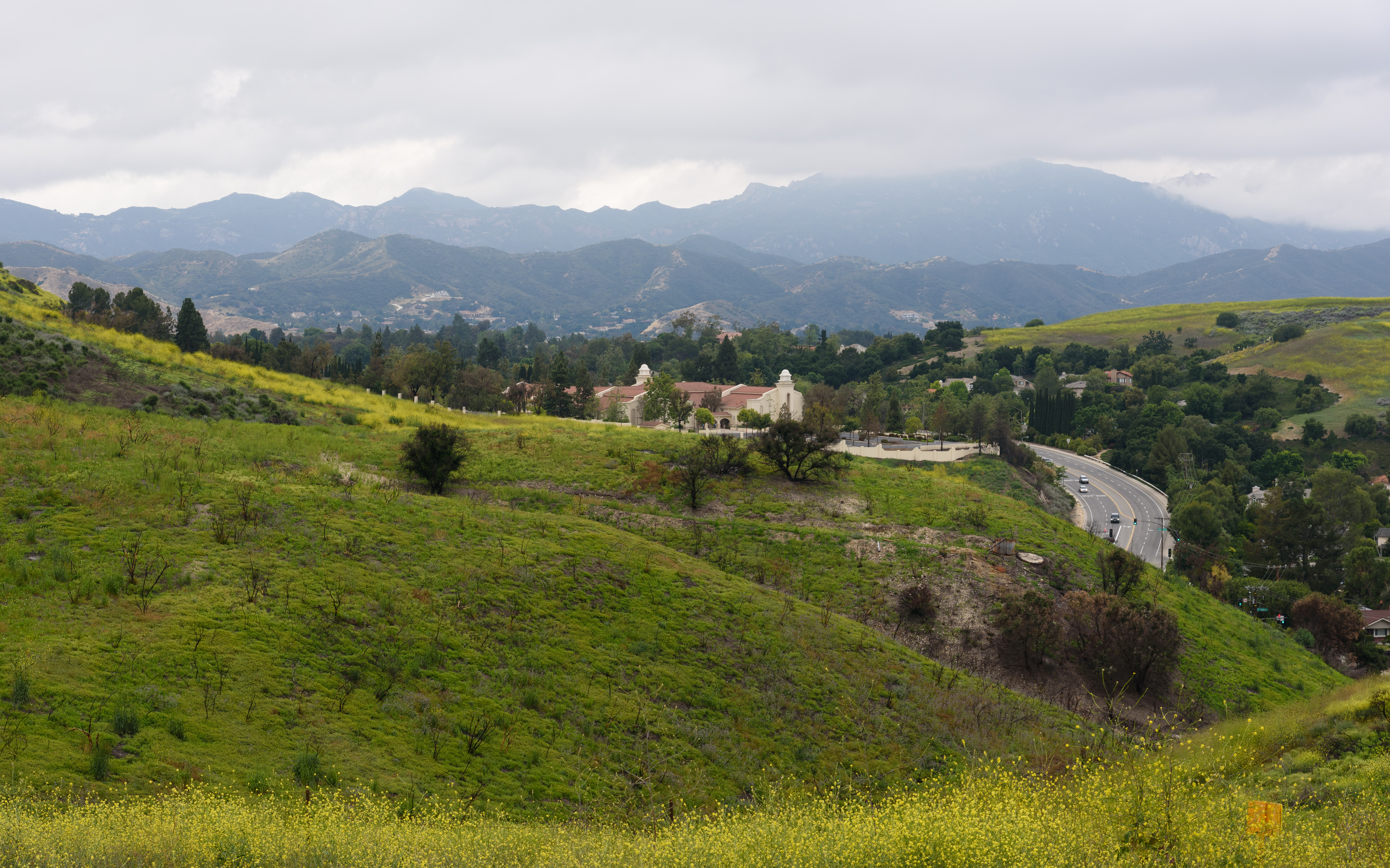 Rolling green hills with yellow wildflowers, a winding road, and mountains under a cloudy sky.