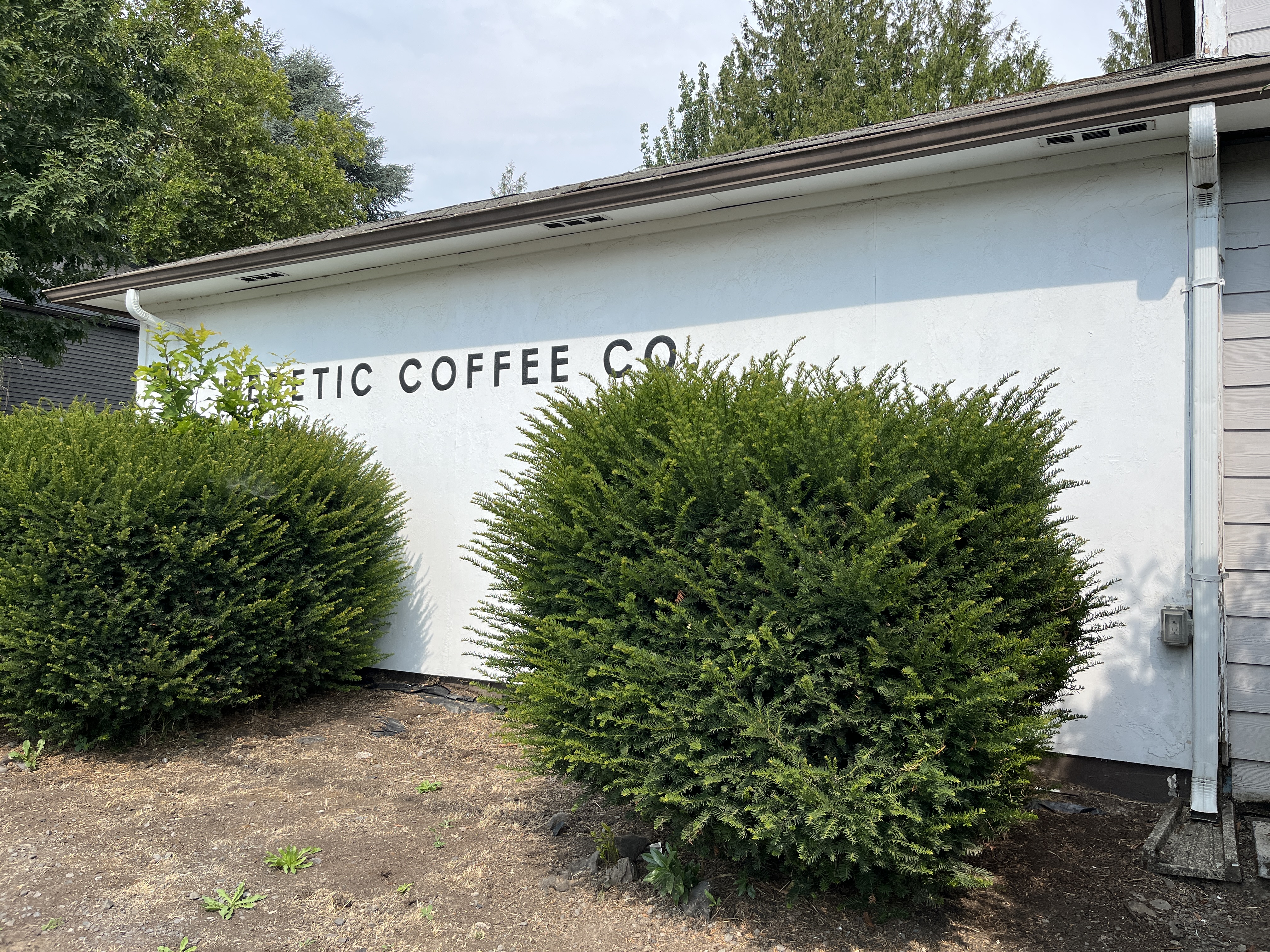 White stucco building wall with partial black lettering partially obscured by large rounded evergreen shrubs.