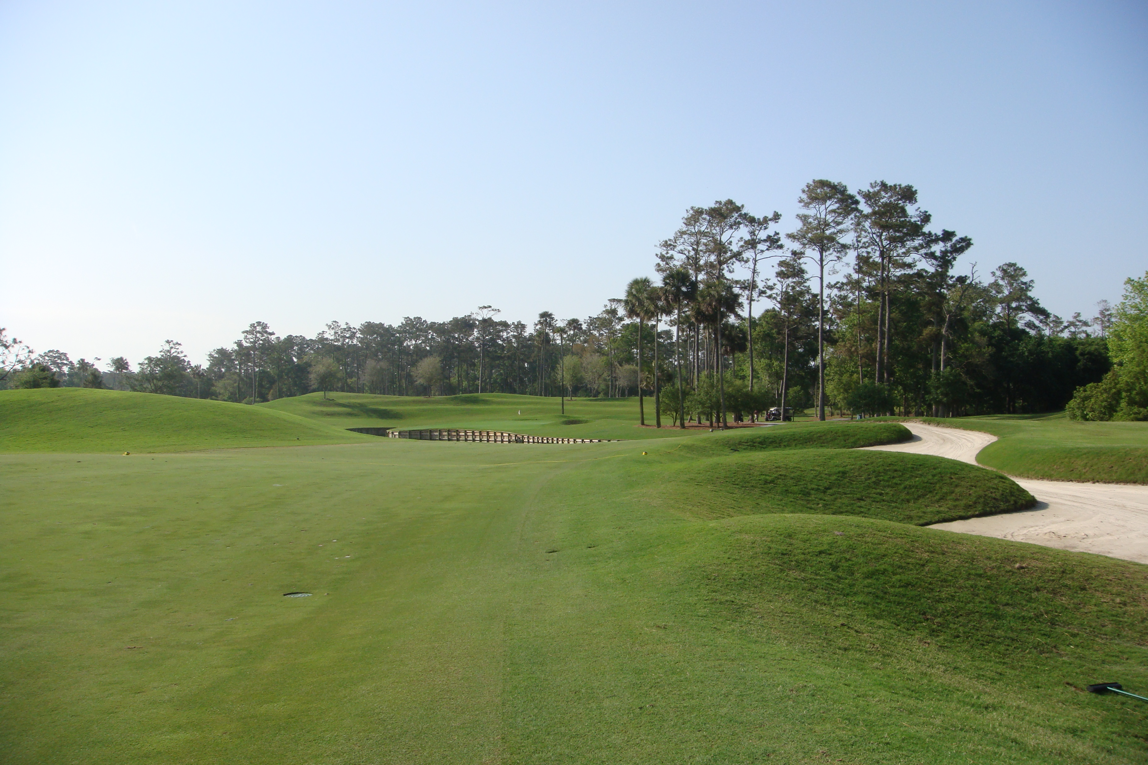 Manicured golf course fairway with sand bunkers and tall pine trees.