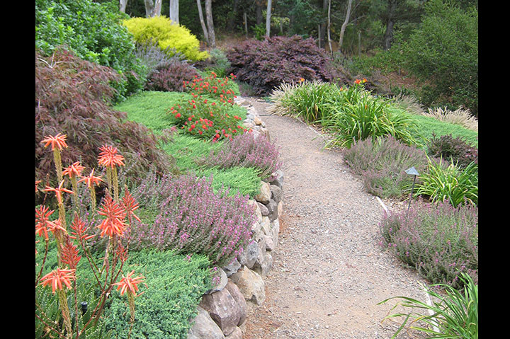 Gravel garden path bordered by drought-tolerant ornamental grasses and succulents.