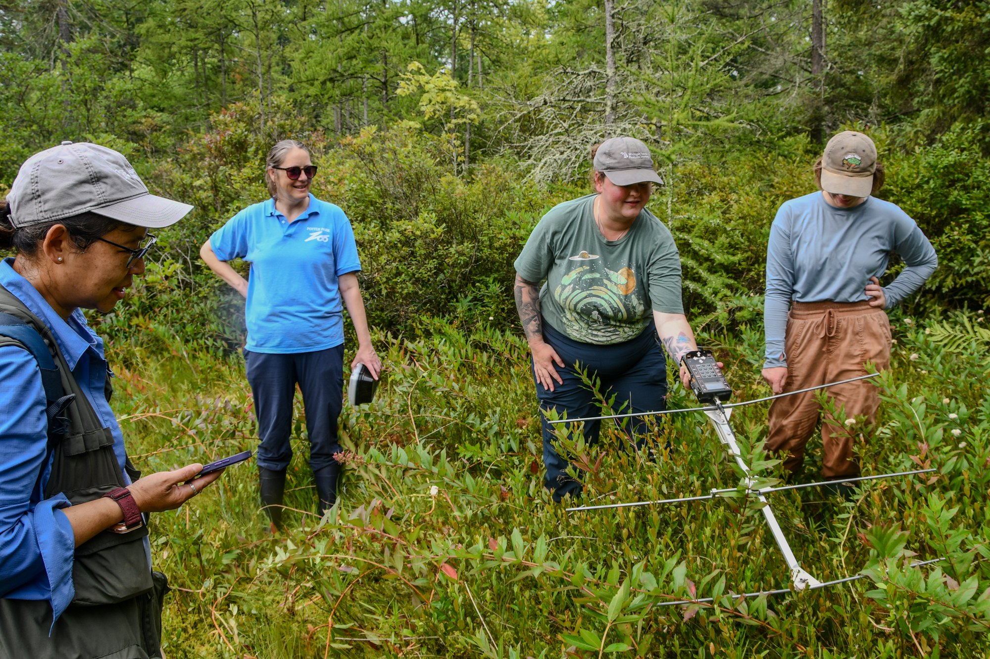 Four people standing in dense shrubby vegetation, one holding a directional radio antenna.