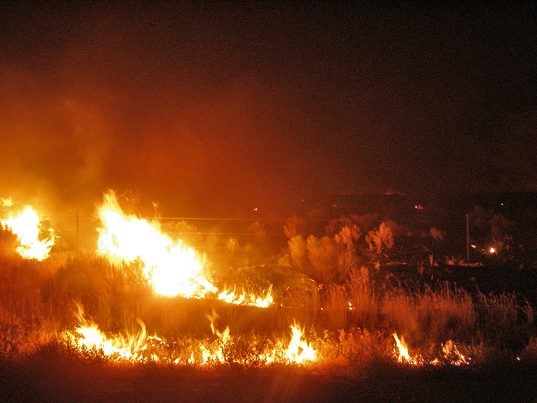 A large brush fire burns at night with orange flames and rising smoke.