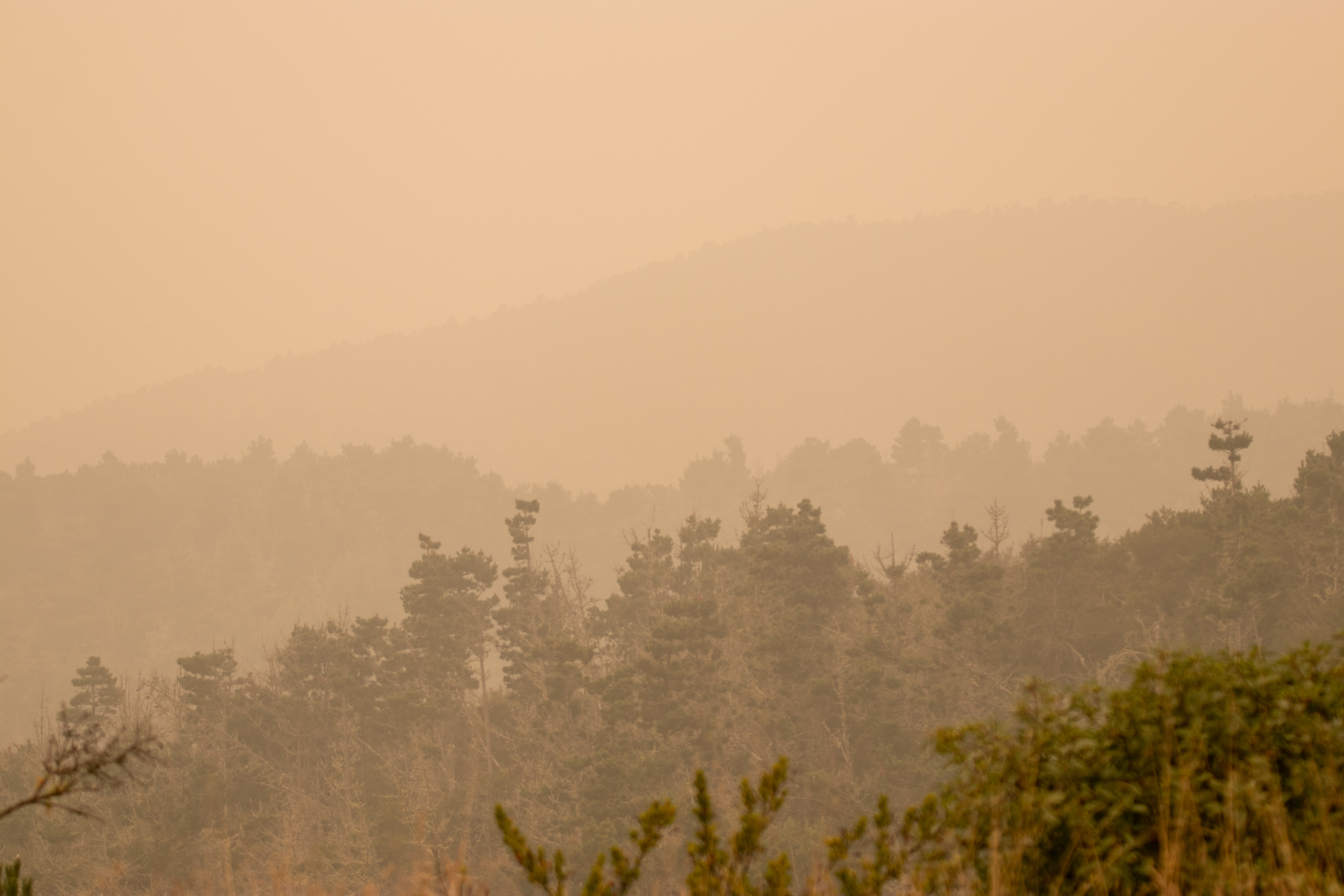 Forested ridges barely visible through dense peach-orange wildfire smoke haze.