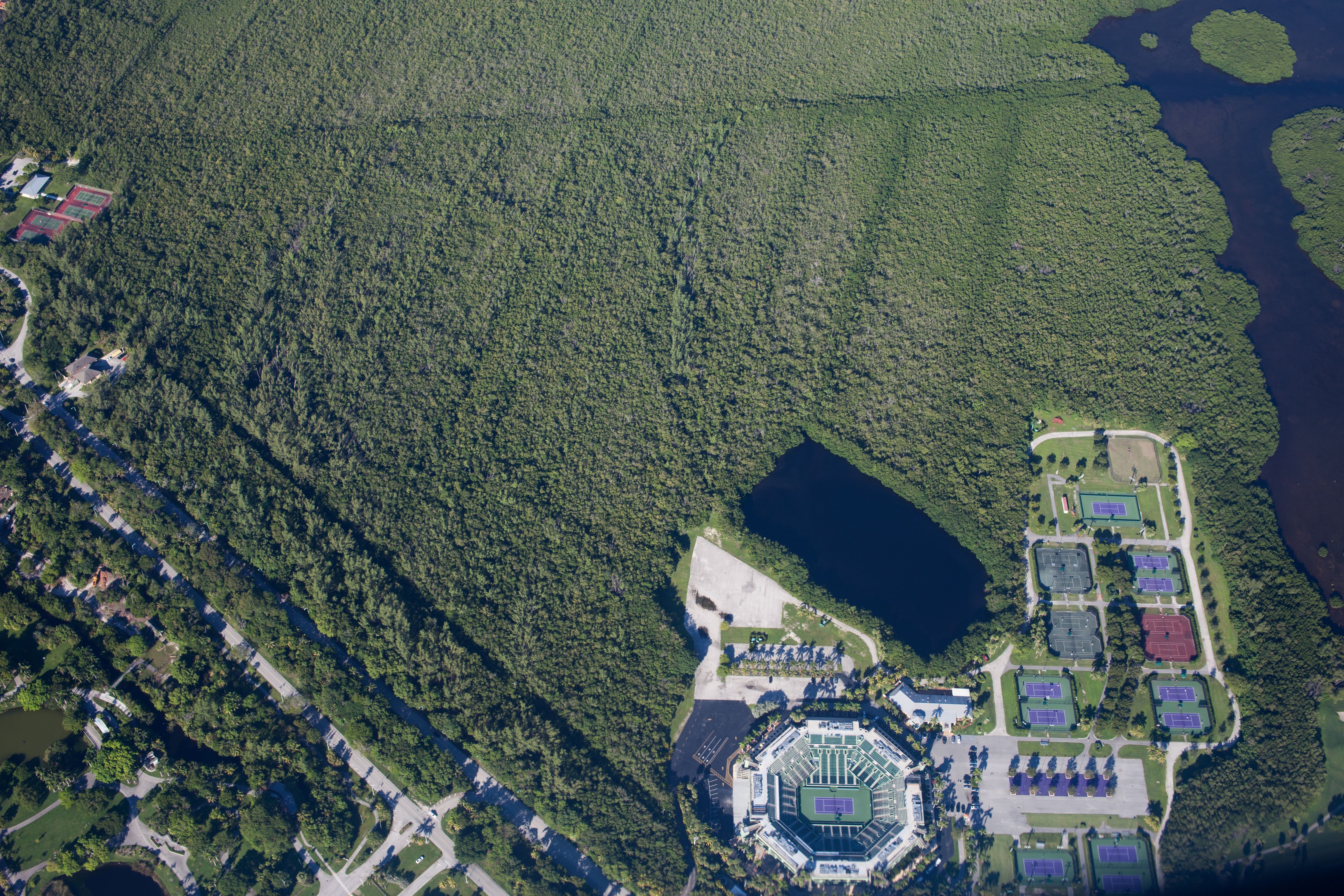 Aerial view of an octagonal tennis stadium surrounded by hard courts and tropical forest.
