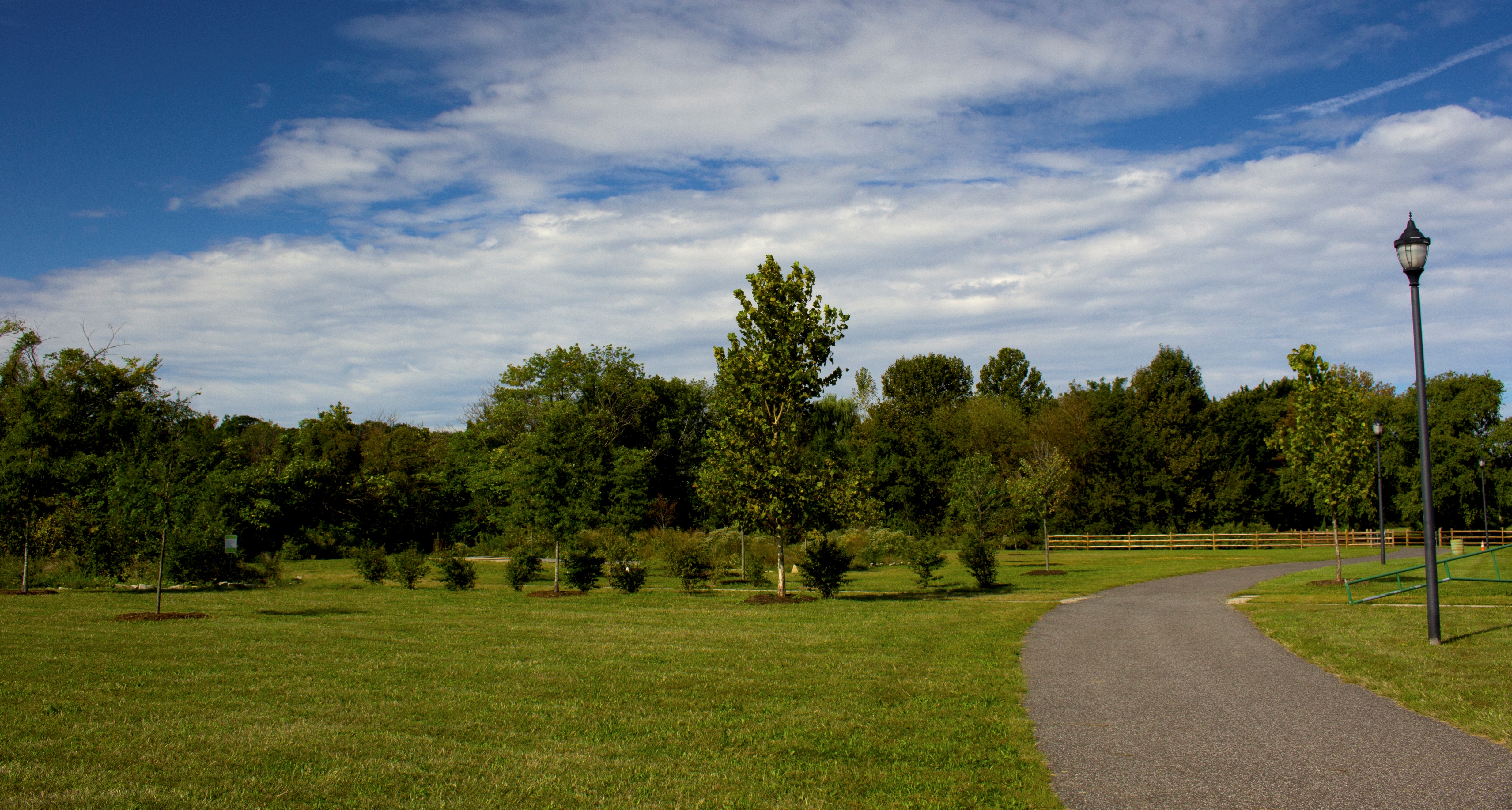 Grassy park with a paved walking path, street lamp, and trees along a river.