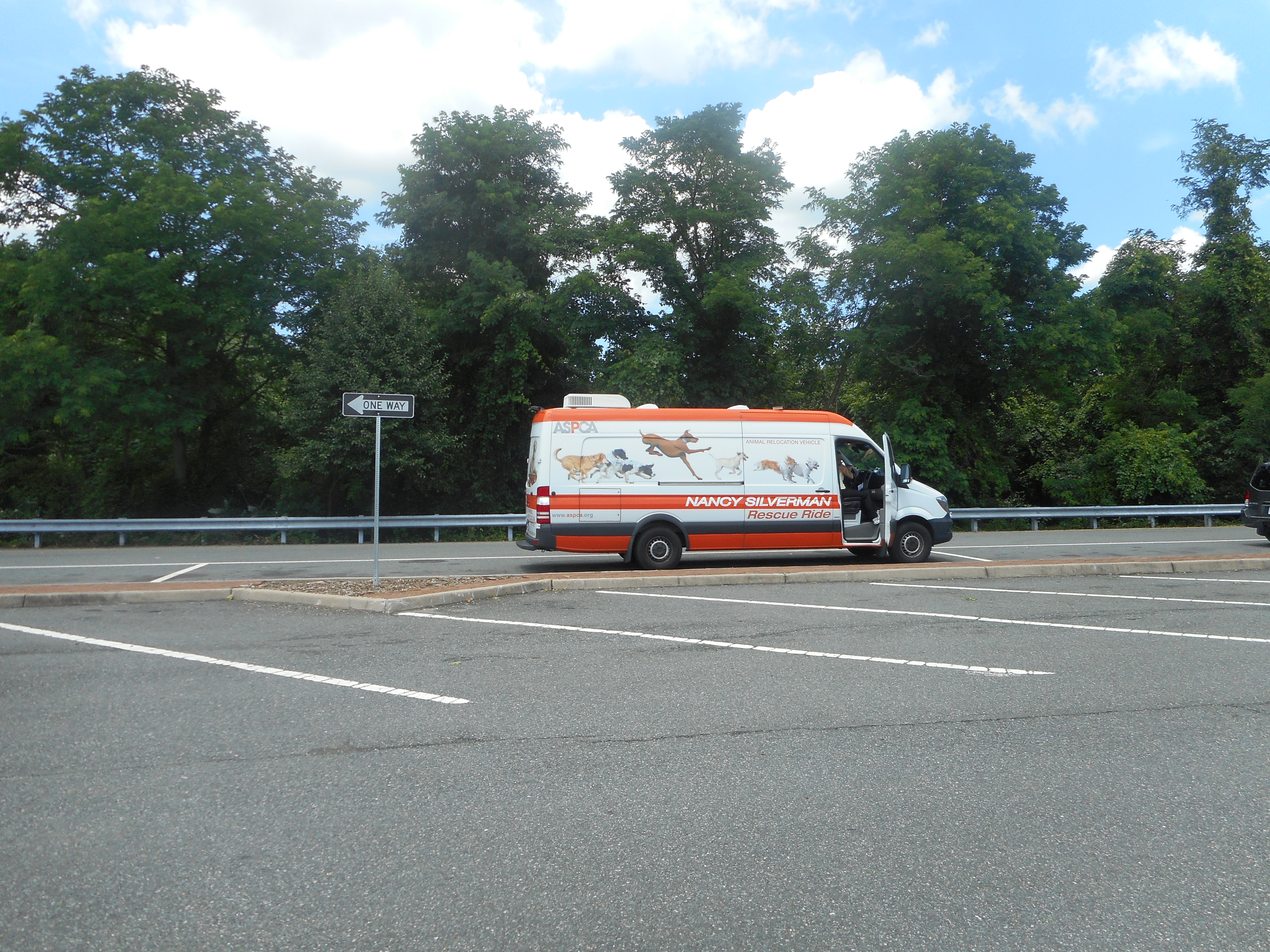 White van with colorful animal graphics and ASPCA Rescue Ride branding parked outdoors.