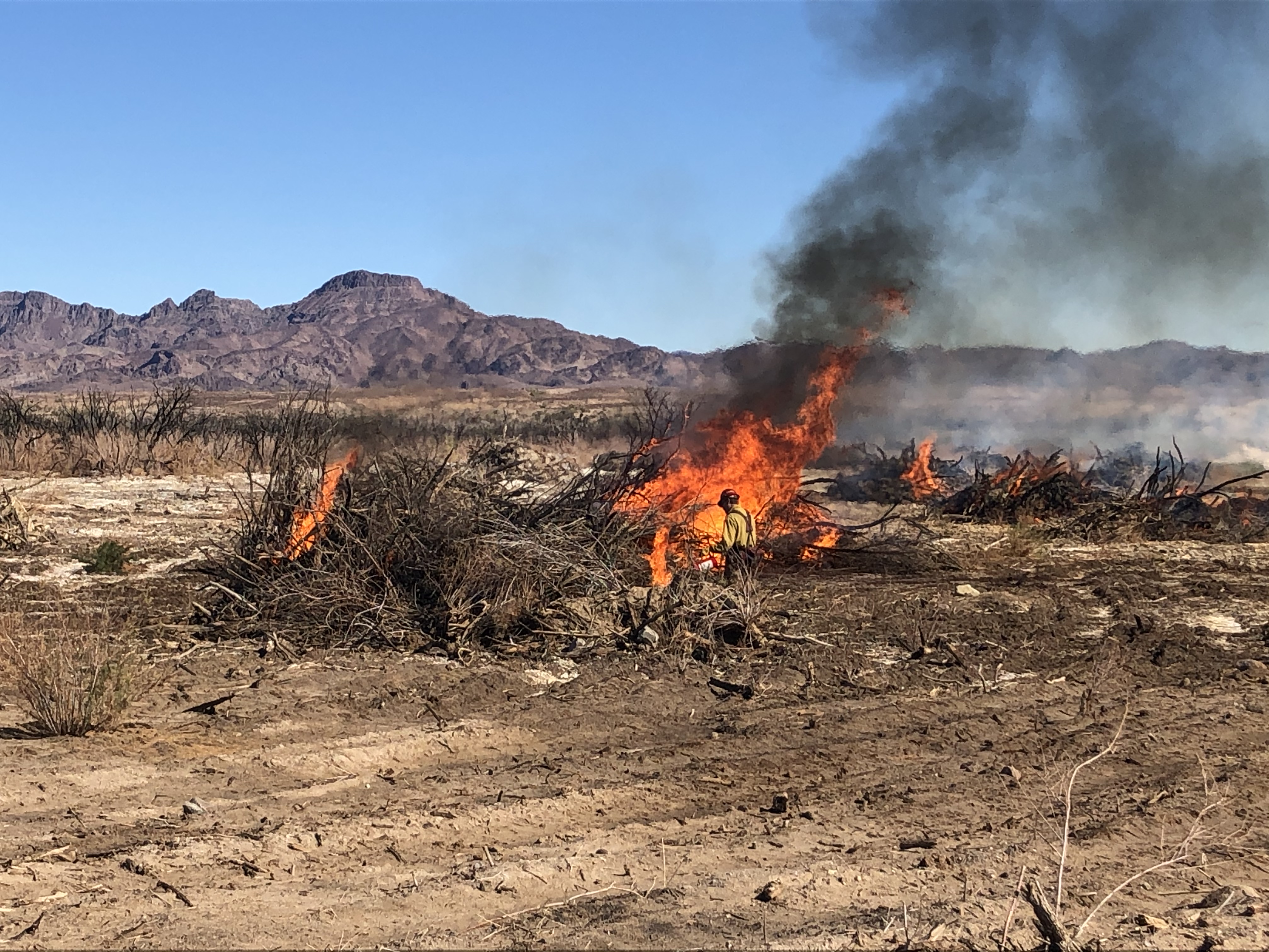 Firefighter in yellow protective gear stands near large flames and smoke from burning brush piles.