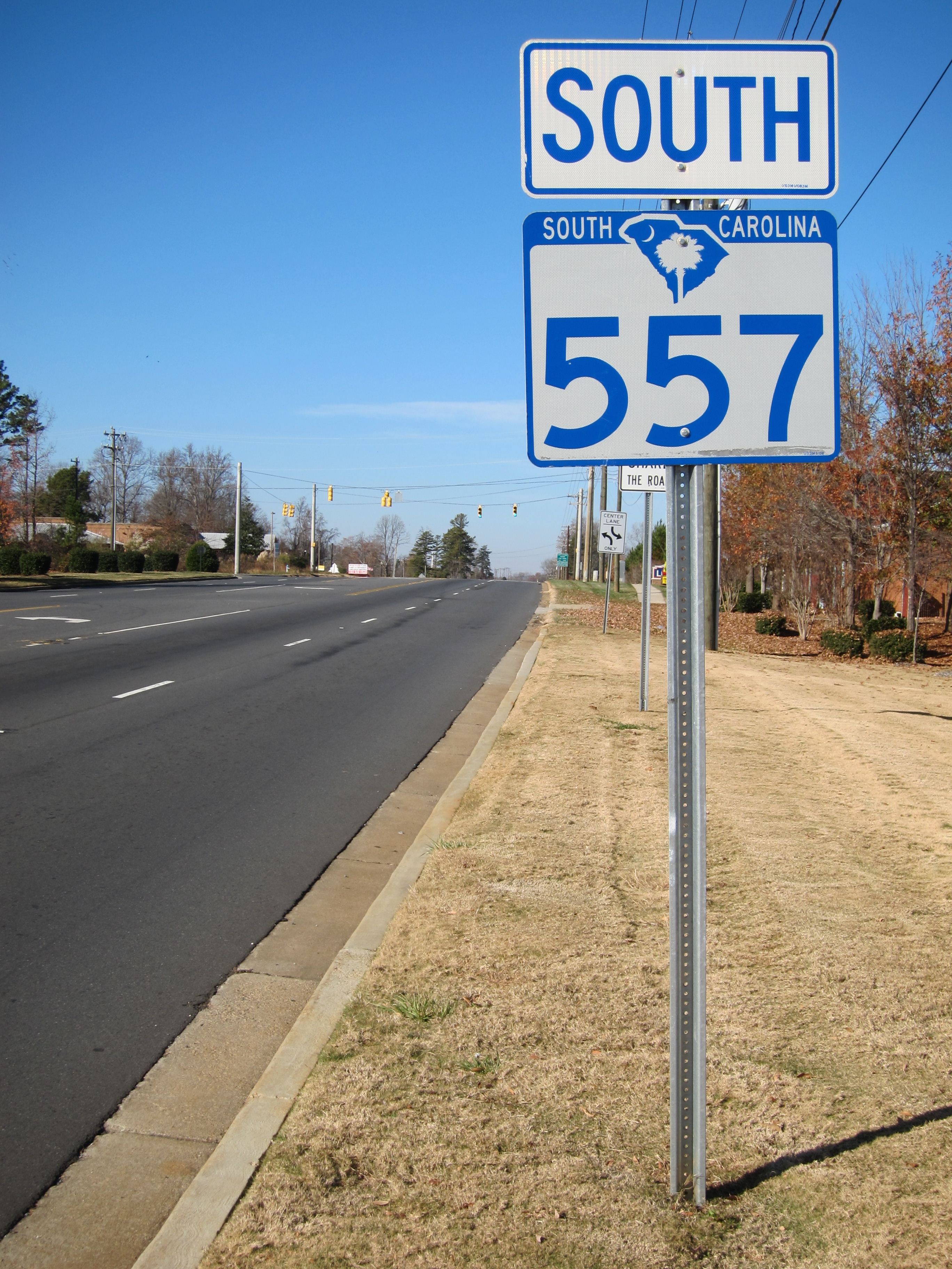 Blue South Carolina state highway sign reading 'South 557' on a roadside post.