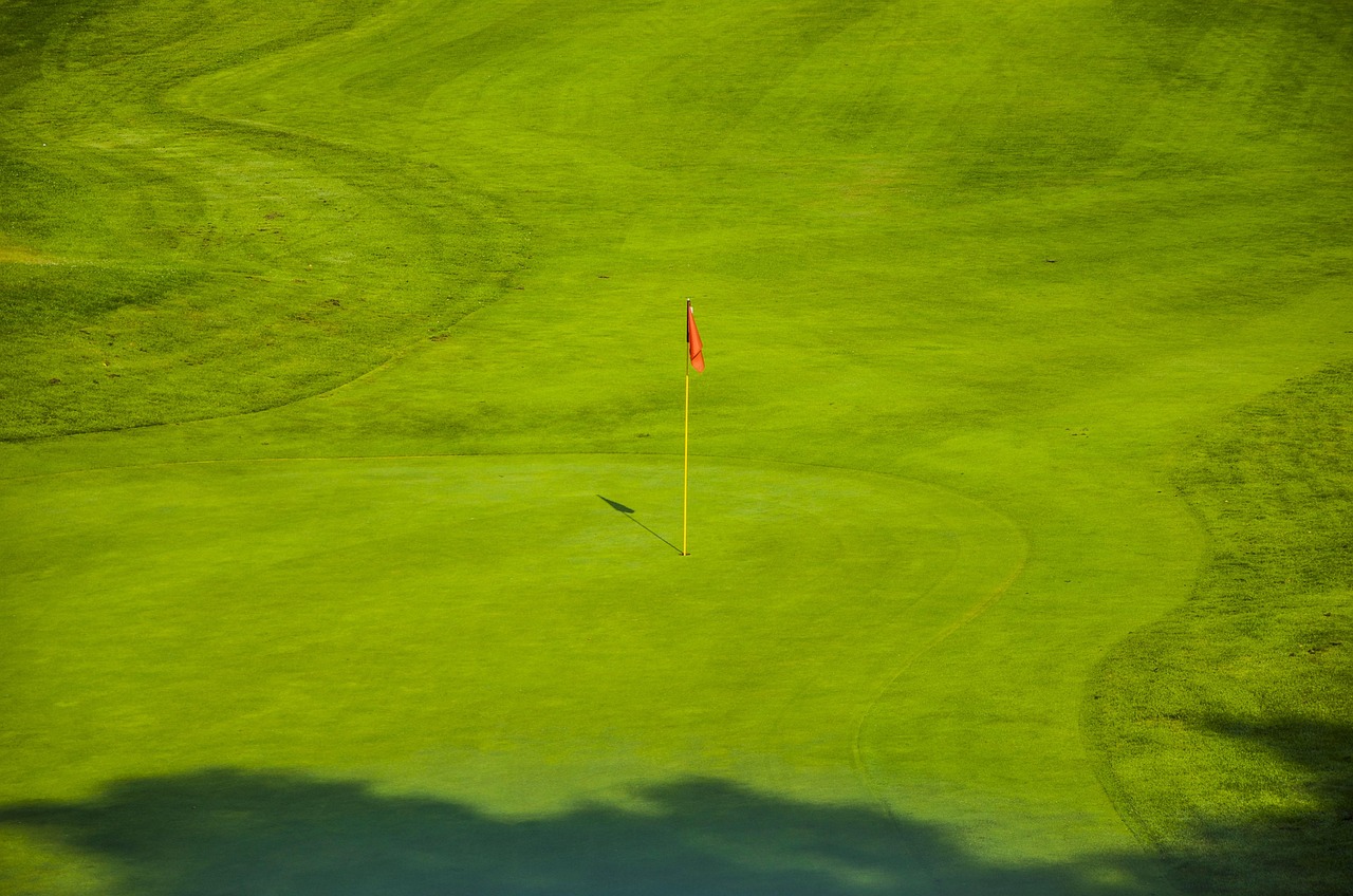 A red flag marks the hole on a golf course putting green.