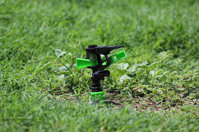 Grass, flora, lawn, growth, nature, sprinkler, plastic, irrigation, sprinkler, sprinkler, sprinkler, sprinkler, sprinkle