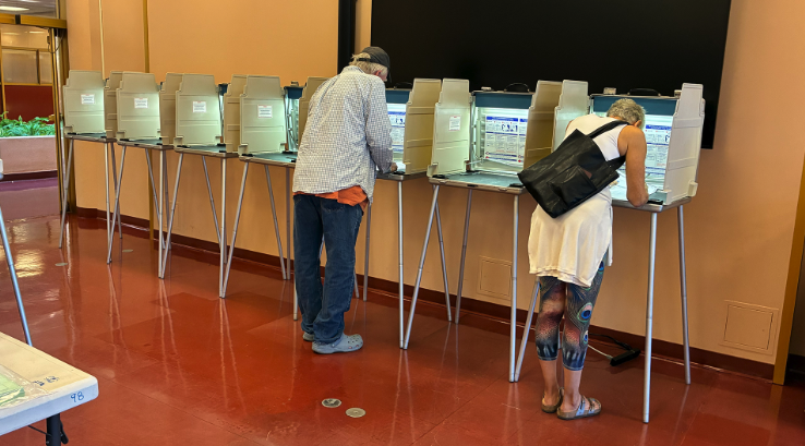 Two people stand at voting booths in a room lined with additional booths.
