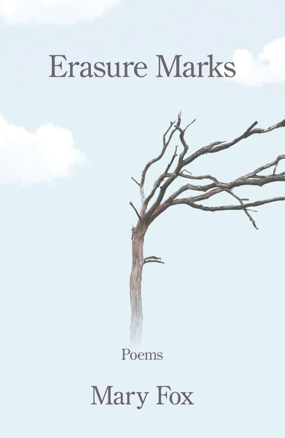 Book cover of "Erasure Marks" by Mary Fox, showing a bare, leafless tree against a pale blue sky with clouds, title in serif type above and the author's name below.