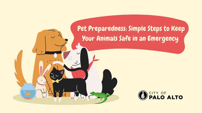 Illustrated graphic showing a dog, cat, rabbit, gecko and fish alongside the headline "Pet Preparedness: Simple Steps to Keep Your Animals Safe in an Emergency," with the City of Palo Alto logo.