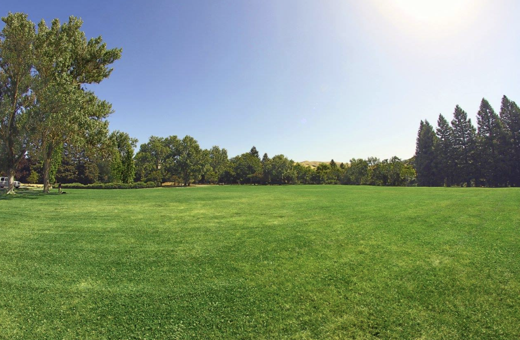A wide open grass field at Rancho Laguna Park in Moraga, framed by mature trees and rolling hills in the background under a clear blue sky.