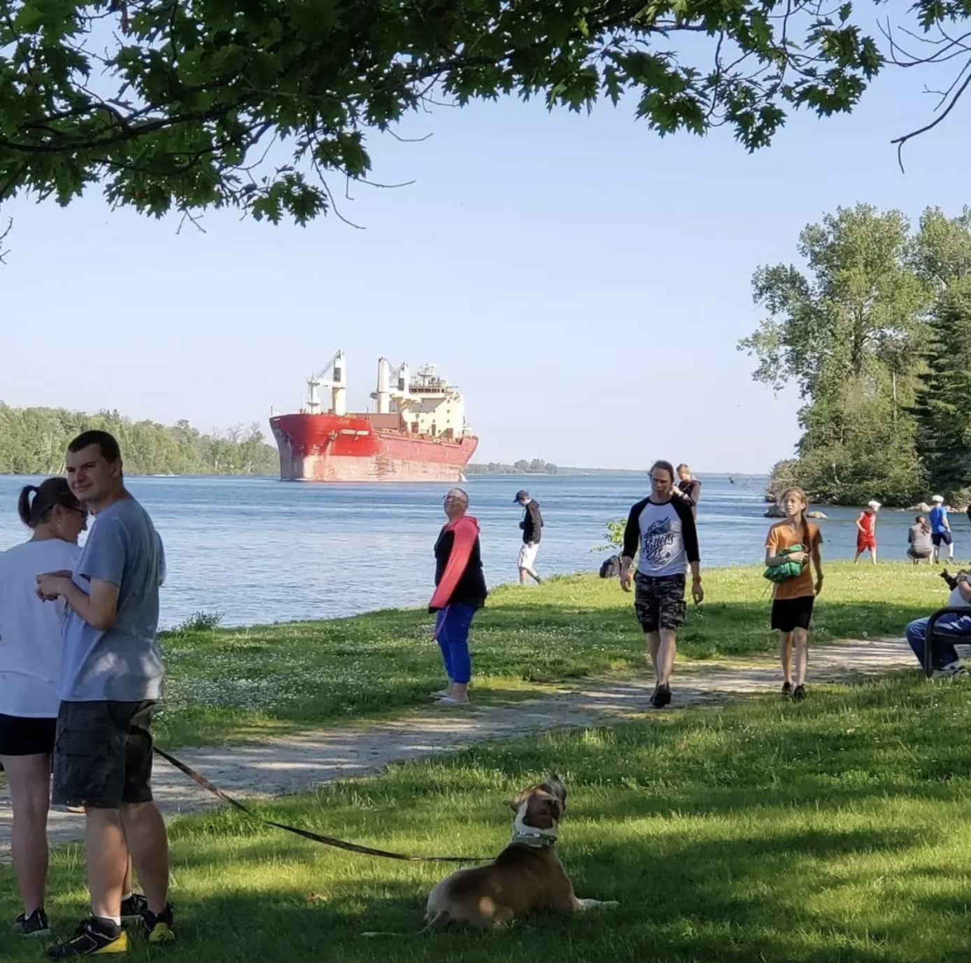 A red freighter passes on the water beside a riverside park in Sault Ste. Marie, Michigan, as visitors and a dog relax on the grass near a walking path.