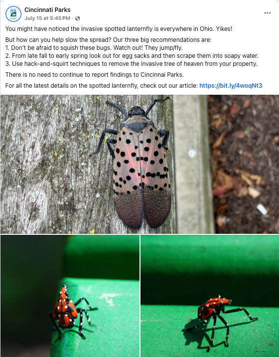 spotted lanternfly facebook post