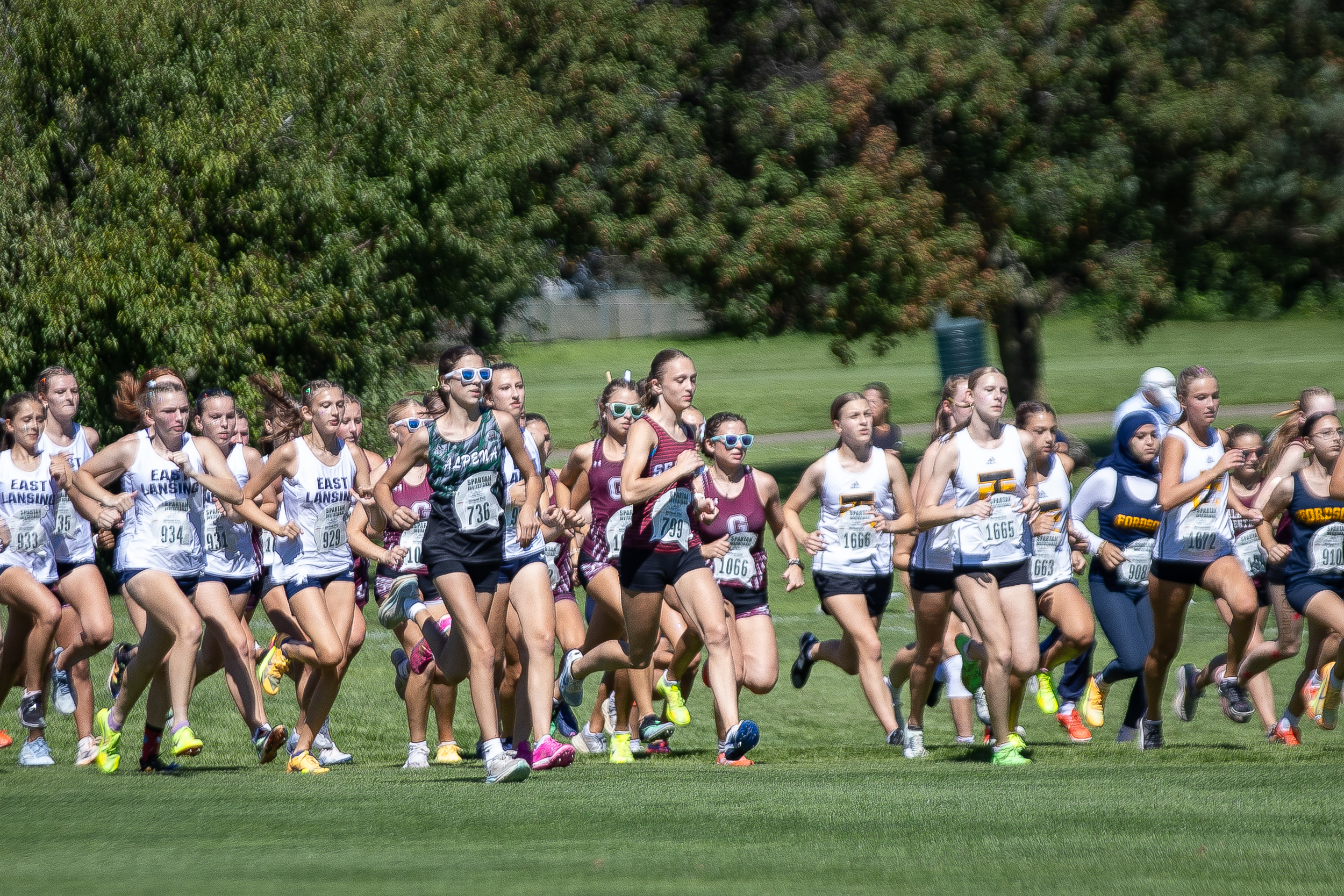 A large pack of high school girls cross country runners in team singlets, including East Lansing, Alpena and other Michigan schools, sprint at the start of a race on a grass course lined with trees.